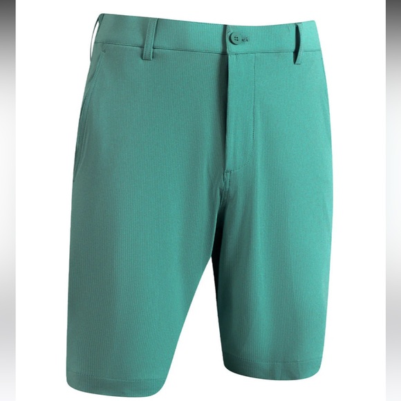 NWT 10” Inseam Striped Golf Shorts - Picture 2 of 9